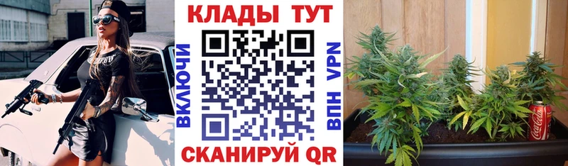 Где можно купить наркотики Инта ГАШ  A PVP  Мефедрон  Конопля  LSD-25  COCAIN 