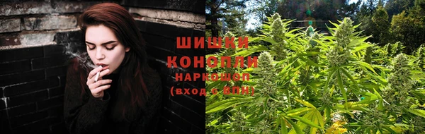 ешки Вязьма