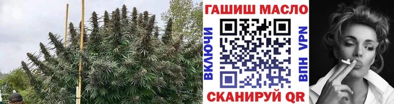 Дистиллят ТГК концентрат  что такое наркотик  Инта 