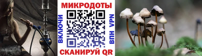 купить закладку ОМГ ОМГ ссылка Галлюциногенные грибы мицелий Инта